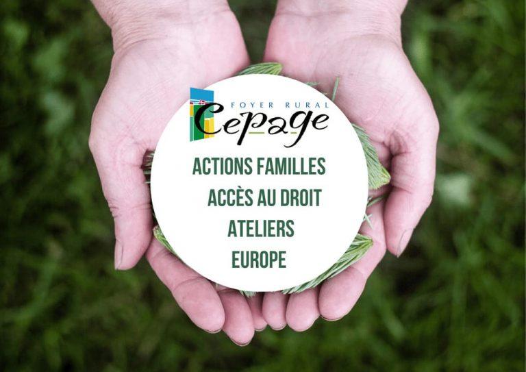 Le Cépage en 2 mots ✅