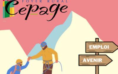 Accompagnement vers l’emploi