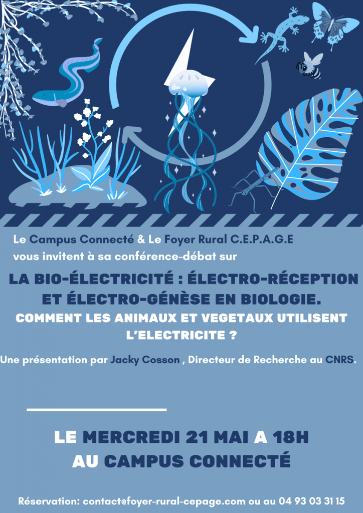 Conférence-Débat : L’Électricité dans la Nature