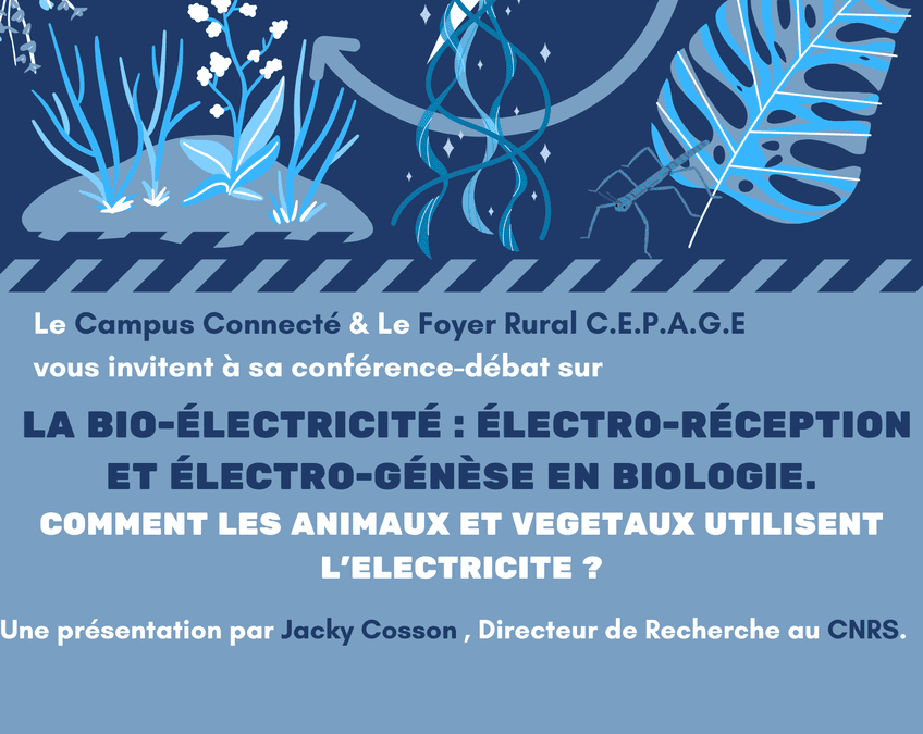 Conférence-Débat : L’Électricité dans la Nature